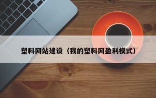 新疆塑料网站建设（我的塑料网盈利模式）