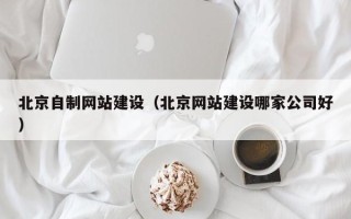 新疆北京自制网站建设（北京网站建设哪家公司好）
