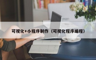 新疆可视化+小程序制作（可视化程序编程）